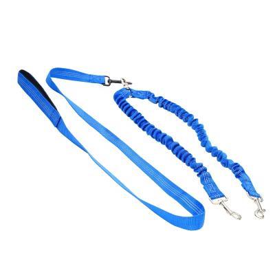 China Viable New Listing Luxury Retractable Pet Collars and Leashes Customized Pull Two Lead Nylon and Stainless Steel Pet Lead Leashes for sale