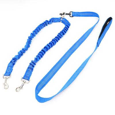 China Durable Comfortable Double Dog Leash Tangle Free With Thoughtful Bungee Dog Leashes Cushioning 2 For Medium Large Small Dogs for sale