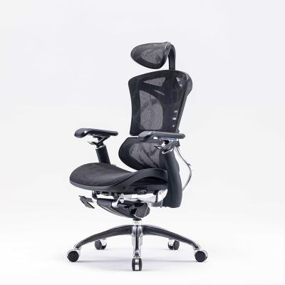 China Dragon Pattern Mesh Design High End Ergonomic Chair (Height) Sihoo 2022 New Full Adjustable Design Chairs Office Chairs for sale