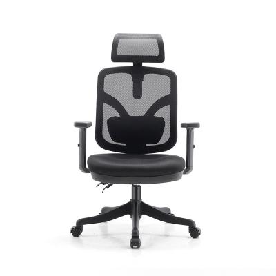 China SIHOO M56 Adjustable Back Swivel Office Chair Mesh Top Ergonomic (Height) Executive for sale