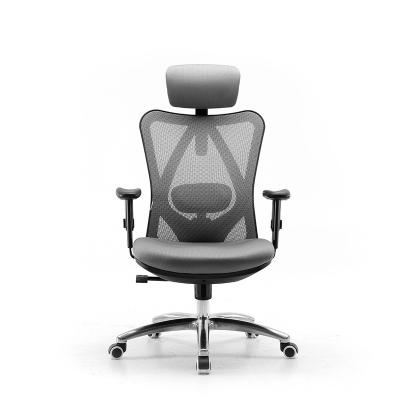 China (Height) SIHOO M18 Adjustable High Back Ergonomic Chair With Adjustable Arms for sale