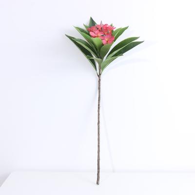 China Wholesale Natural High Quality Single Real Latex Stem Touch Artificial Flowers Touch With Leaves For Wedding Decoration for sale