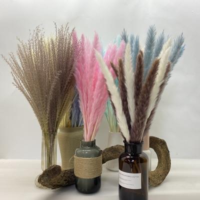 China Artificial Flower Home Deco Party Decoration Dried Flowers Pampas Grass Multicolor Home Living Room Decoration Accessories for sale