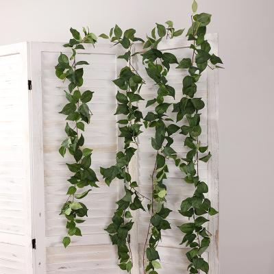 China Natural touch 1.8m pig heart leaf wall decoration simulation leaf shooting ornaments for sale