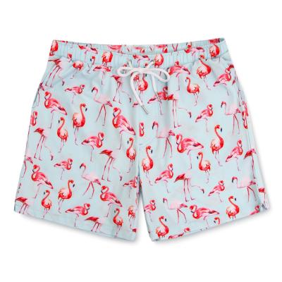 China Breathable Boardshorts Custom Surf Plus Size Flamingo Print Above Knee Shorts Beach Lounge Pants For Men for sale