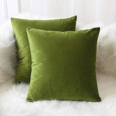 China Decorate ZY-CC0010 Solid Velvet / Euro Sham / Sham Cushion Cover, Super Luxury Soft Pillow Cases, Many Color And Size Options for sale