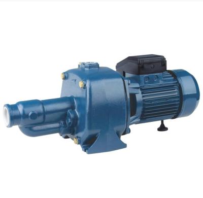 China Automotive Industry Household Family Self-Priming DOUBLE JET IMPELLER 4HP High Lift Vacuum Water Pump for sale