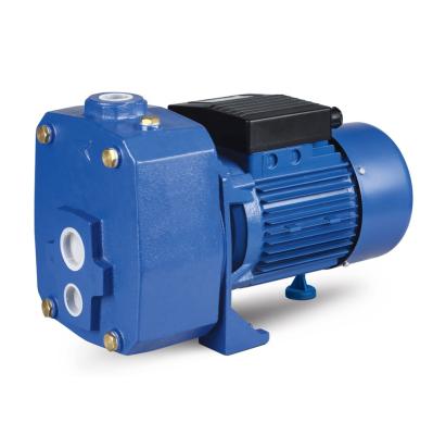 China Developing World Water Solutions Customized Bulk Wholesale SELF-PRIMING DEEP SUCTION JET PUMPS for sale