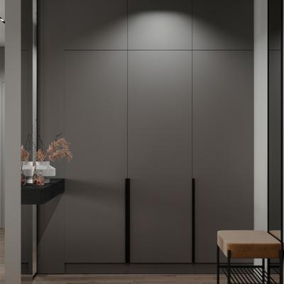 China Contemporary home furniture wardrobe design bedroom wall wardrobe cabinet minimalist design for sale