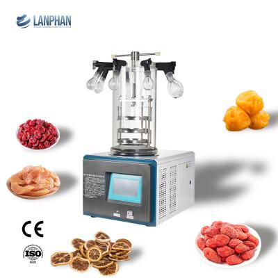 China Mini Vacuum Freeze Drier Machine-Laboratorium3kg/24h het Koude Val Openen Te koop