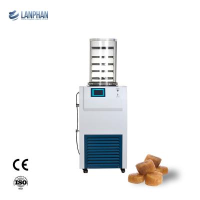 China Huis Klein Mini Vegetable Vacuum Freeze Dryer 0,12 Laboratorium ㎡ Te koop