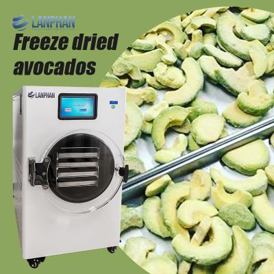 China Avocado, Fig, Peach, Watermelon Stainless Steel Fruit Dryer Machine Vacuum Dryer For Food for sale