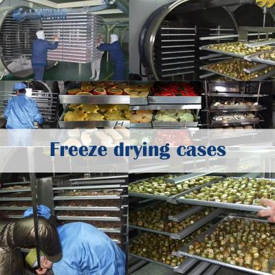 China Food Fruits Vegetables Industrial Drying Machine Large Freeze Dryer Machine Manufacturers for sale