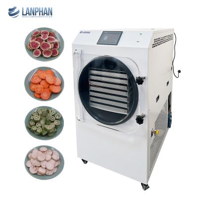 China Home Food Freeze Dryer 7 Trays 2.5m2 Large Size Vacuum Home Freeze Dryer with Oil Pump for sale