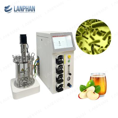 China 2l 5l 10l Automatic Spirulina Yeast Culture Glass Fermenter Bioreactor For Cell Culture for sale