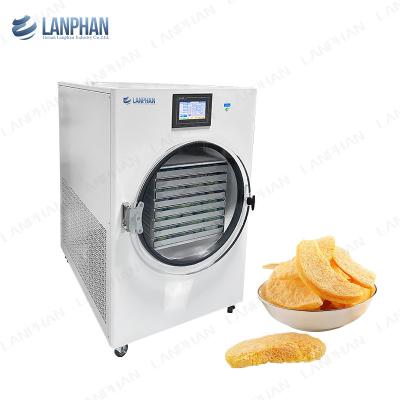 China Freeze Dryer Equipment Fruit candy Meat Freeze Dryer 220V Freeze Dry Machine for sale