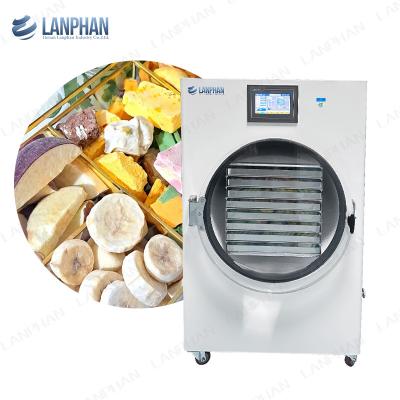 China 45kg 40kg Home Freeze Dryer Fruit Dog Treat Food Vegetable Fruit Freeze Dryer Drying Machine for sale