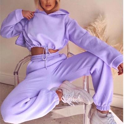 China Anti-pilling High Quality Plus Size Women Tracksuit Set Hoodie Suit Autumn Winter Warm Casual Sweatpants Sports Teams Sweatshirt Set for sale