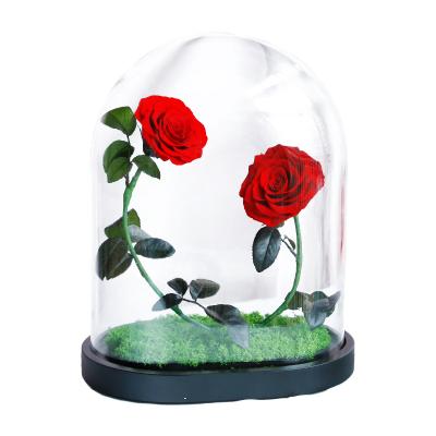 China 2022 Home Decor New Product 2 Pcs Preserved Roses Eternal Flower Rose In Grass Gifts Wedding Anniversary Decor Gifts for sale