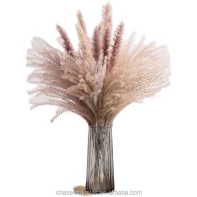 China Chasewin Home Decor Decorative Flower Dried Small Pampas Grass 45cm 15pcs Per Pack For Sale for sale