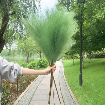 China Home Decor Artificial Pampas Grass Tall 3 Stems 43 Inches Tall Pampas Grass Home Decor Tall Decoration Flowers for sale