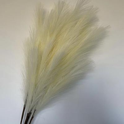 China Home Decor Flower Best Popular Natural Fluffy Dry Artificial Pampas Grass Large Pampas Grass For Wedding Decoration for sale