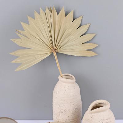 China Palm Leaf Dried Palm Leaves Dried Palm Spear Tropical Plants Palm Leaves For Boho Wedding Party Home Decoration for sale