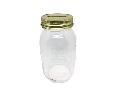 China Eco-friendly Hot Selling Money Saving Jar /Mason Jar Glass Coin Bank for sale