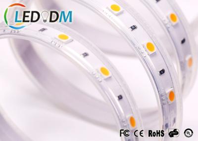 China 60 LEDs/M SMD 5050 LED Strip Light 12V / 24V With 3M Rubber Back Plate for sale