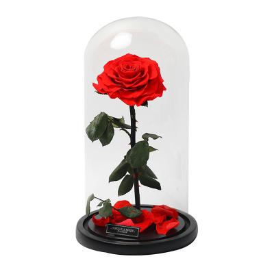 China Eternal Flower Glass Roses Decoration Wedding Party Event Decoration Dome Flower Stem Forever Rose Tall Glass Prince Preserved Rose for sale