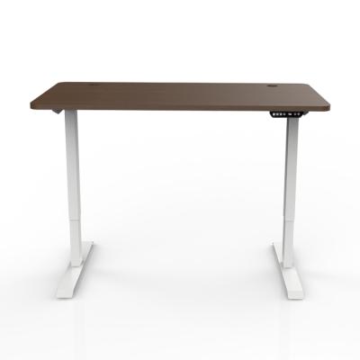 China Popular Adjustable Technology Adjustable Wholesale Custom Table Height Electric Standing Desk (Height) OEM Desk for sale