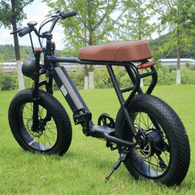 China Fat Tire Travel Ebike For Adult With Children 20 inch Outdoor Electric Bicycle for sale