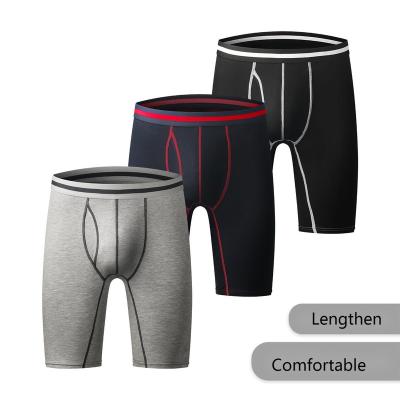 China Wholesale Custom Logo Antibacterial And Mesh Cotton Sport Underwear Quick Dry To Lengthen Boxer For Men Underwear Men for sale