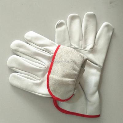 China Elestic Back Good Quality Sheepskin Work Training Leather Gloves for sale