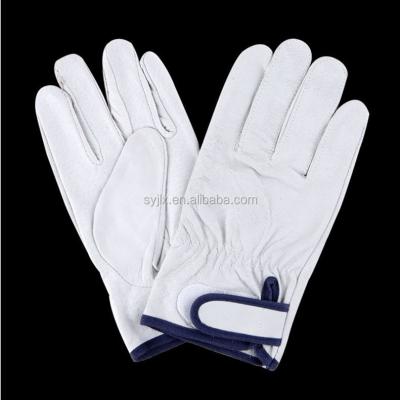 China Cheap Factory Price Goat Skin Driving Work Gloves Breathable for sale