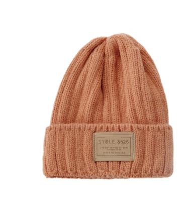 China Fashion Support Warm Custom Color Image Casual Unisex Adults Warm Knitted Hats for sale