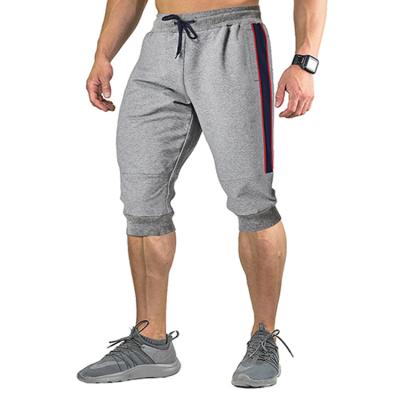 China Sustainable Wholesale Athletic Wear Mens Gym Shorts Polyester Spandex, Sports Running Shorts, Trekking Mens Pants And Trousers for sale