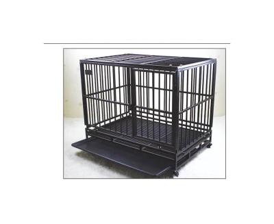 China Hard Standard Large Dog Cage Pet Kennel Pet Shop Strong Outdoor Display Cages for sale