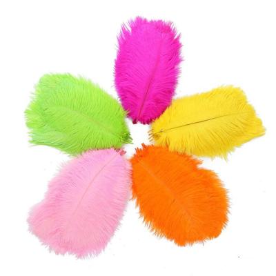 China Ostrich Feather RT148 Bleached Dyed Olored Decoration Ostrich Feathers for sale