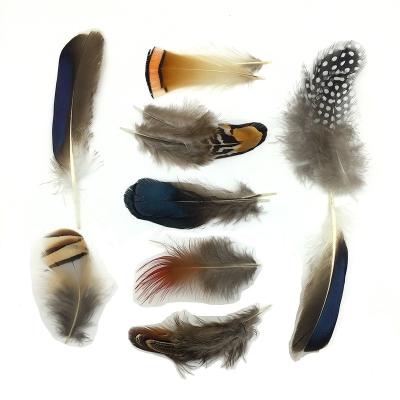 China Plume Mini Colorful Feather Ornaments Feather and One Piece for sale