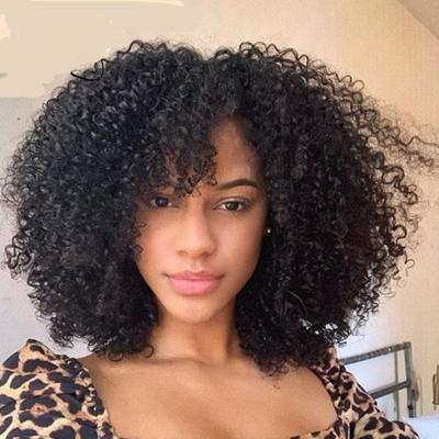 China Cheap Cheap Hd Transparent Lace Front Human Hair Wigs Afro Wave Price Wigs For Color Women 4x4 Closure Afro Kinky Curly Hair Wig for sale