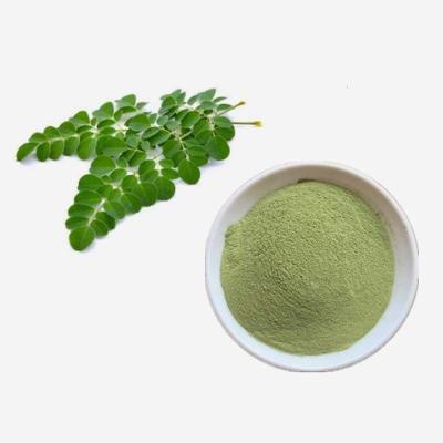 China High Quality Organic Food Supplement Moringa Leave Powder Moringa Extract Powder for sale