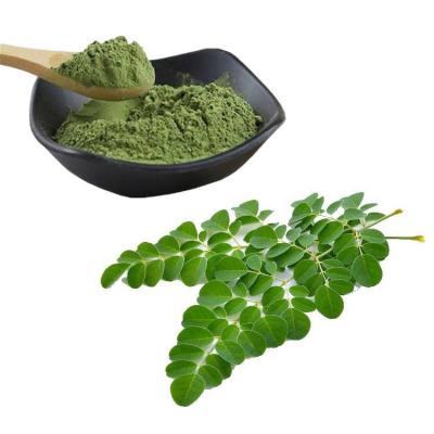 China Dietary Supplement OEM ODM Best Selling High Quality Bulk Natural Moringa Leaf Extract Powder for sale