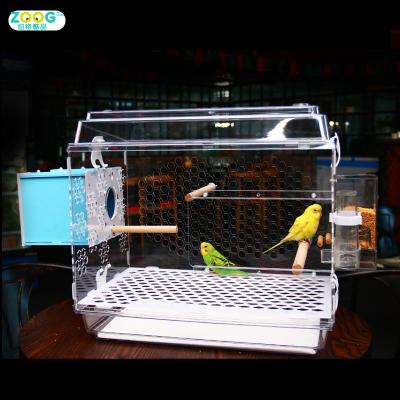 China Viable Wholesale Decorative Chinese High Quality Acrylic Brid Cages for sale