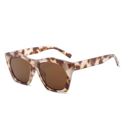 China Fashion Sunglasses Wholesale Cheap Fashion Women's Vintage Turtle Shell Sunglasses UV400 for sale