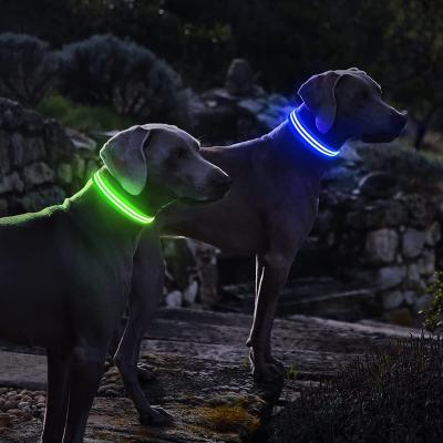 China Glow Collar Rechargeable LED Lights Dog Collar USB Luminous And High Visibility Lit Glow Collar For Pet Night Walking for sale