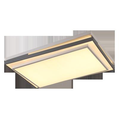 China Minimalist Indoor Lighting Ceiling Light LED Integrated Ceiling Light for sale