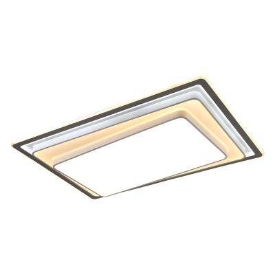 China Minimalist Enclosed Modern Design, Lengthened Remote Control Smart LED Ceiling Light for sale