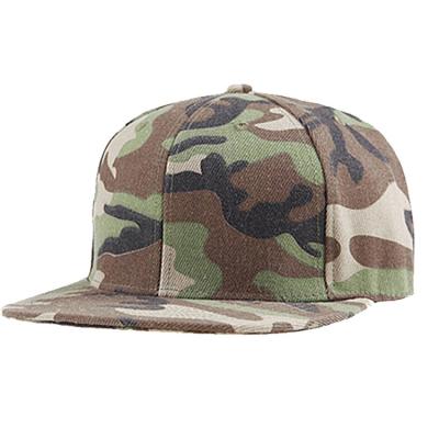 China Custom Wholesale COMMON Promotion Cotton Embroidery Hat/Fitted Baseball Snapback Hat Blank Hat for sale