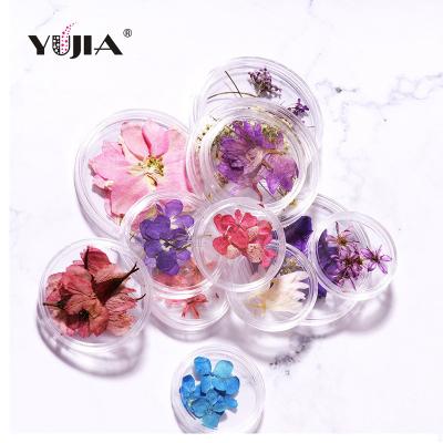 China Net red wind-dried flower nail petal pure natural jewelry CIA art DIY improvement Japanese material immortal flower nail for sale